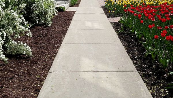 Cost of Sidewalk Slab Replacement in Dacula